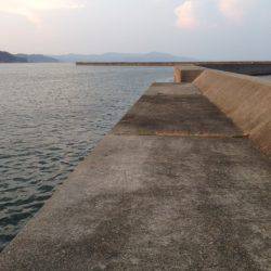 夏タチウオの終わり