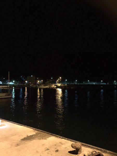 おいしいそうダワ~