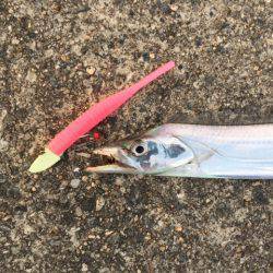 ドラゴンが来たよ