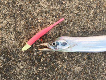 ドラゴンが来たよ