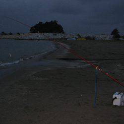 投げ釣りシロギス