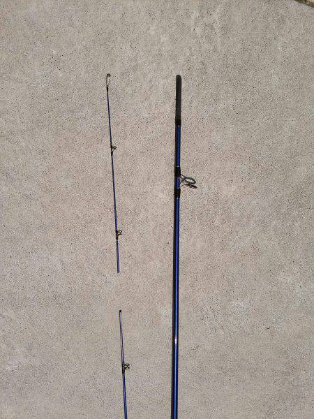 なんとかタチウオだけ