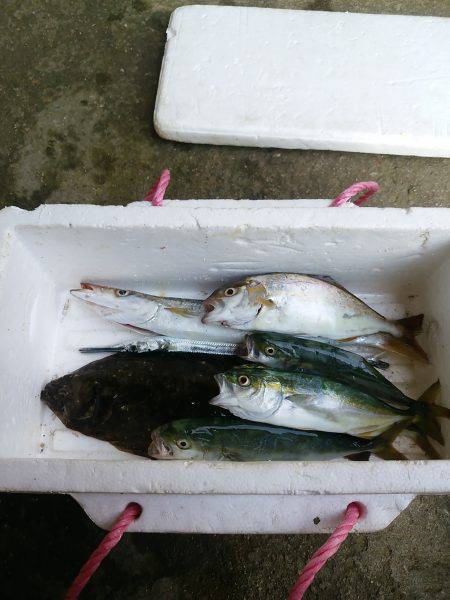 プラグオンリーで！