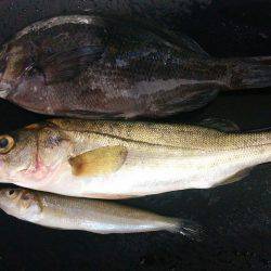 りんくう釣り公園