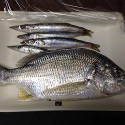 不屈のキャスト!!