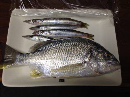 不屈のキャスト!!