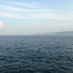 ケンサキチャレンジ