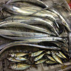 嫁さんも大満足の釣果