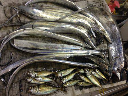 嫁さんも大満足の釣果