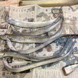 チビ太刀だらけ