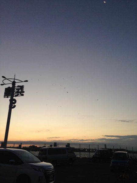 アナゴ時々ちびガッシー