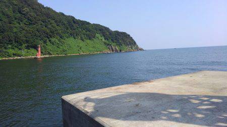 小型青物がアツい！