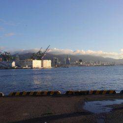 今年初の刀狩！