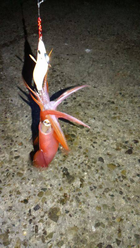 ダブルヘッダー