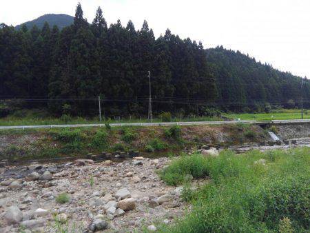 友釣り　越知川