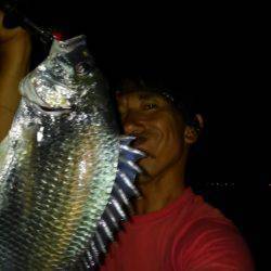 淀川ブリームゲーム