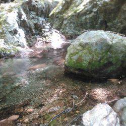 源流アマゴ釣り