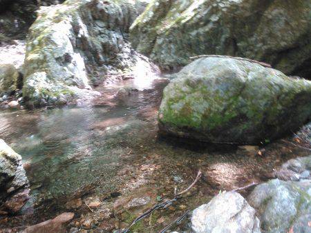 源流アマゴ釣り