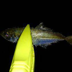 ランガンアジング