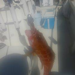 レンタルボート釣行