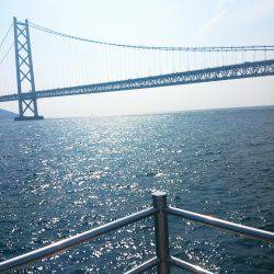 アジュール舞子でサビキ