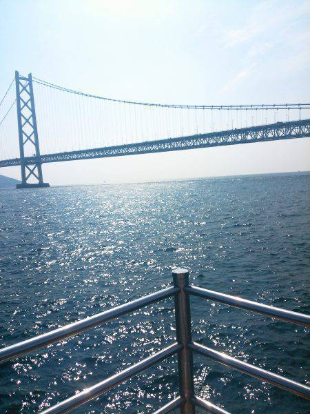 アジュール舞子でサビキ