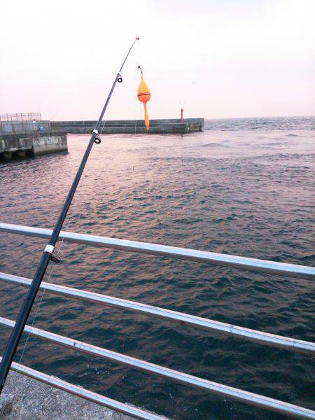 温泉裏でサビキ、のませ