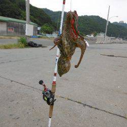 遠征２日目オクトパッシング