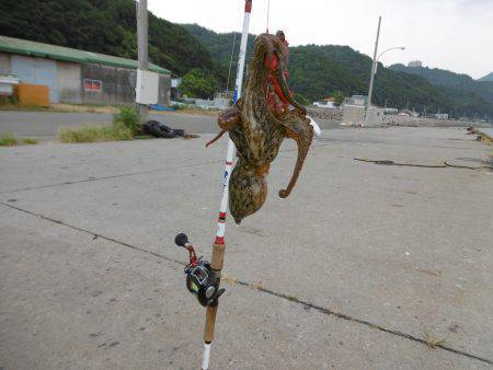 遠征２日目オクトパッシング