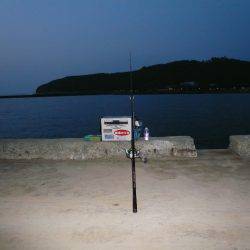 早朝から洲本港でキス狙い