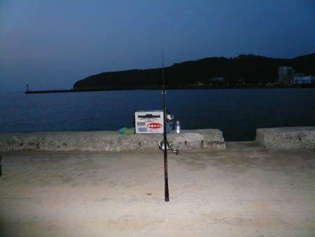 早朝から洲本港でキス狙い