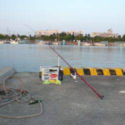 二見港水道へ釣行しました