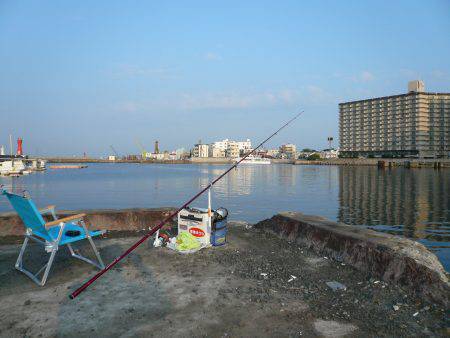 明石港へ釣行しました