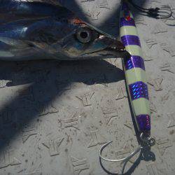 タチウオジギング