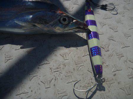 タチウオジギング