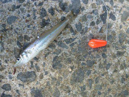 ファミリーキッシング