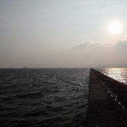 武庫一でタチウオ乱舞♪