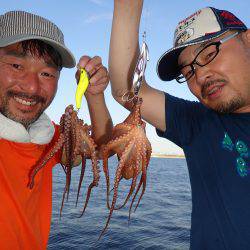 五目タコエギDEタコ♪