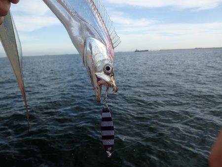 タチウオ連発♪