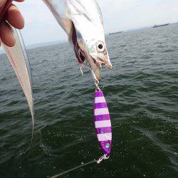 連日の爆釣劇♪