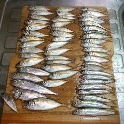 夕涼みのファミリーフィッシング