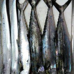 ポートアイランド沖堤防で!