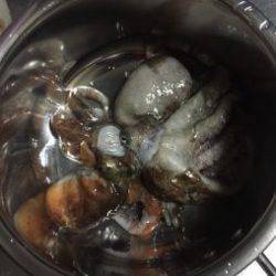 初めてでラストタコ船!