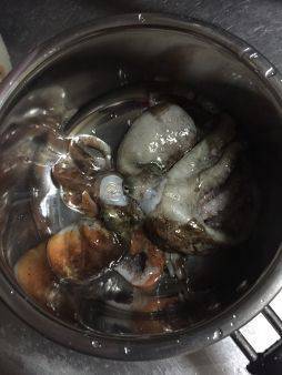 初めてでラストタコ船!