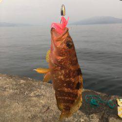 初めての釣り場