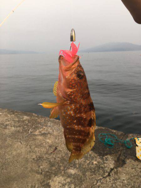 初めての釣り場