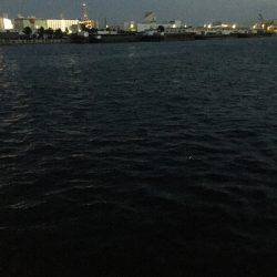 夕方のサビキはアジオンリー