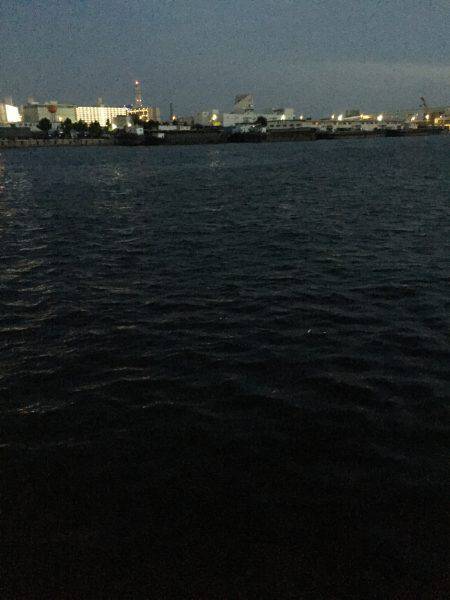 夕方のサビキはアジオンリー