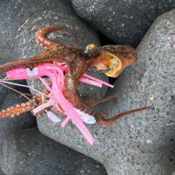 オクトパッシング