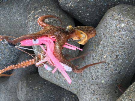 オクトパッシング